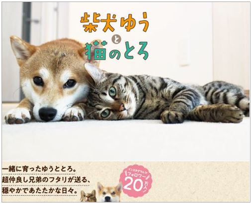 書籍『柴犬ゆうと猫のとろ』（ぴあ） 表紙