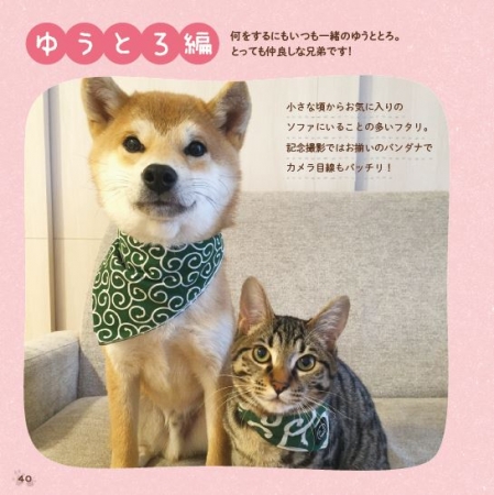 書籍『柴犬ゆうと猫のとろ』（ぴあ） 中面