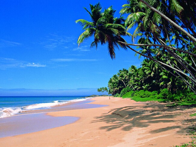 経済破綻後も人気のリゾート地（SLTPB提供）