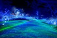【ネスタリゾート神戸】大自然と光が織りなす、幻想の世界へ「ネスタイルミナ~光のさんぽみち~」11月16日(土)リニューアルオープン