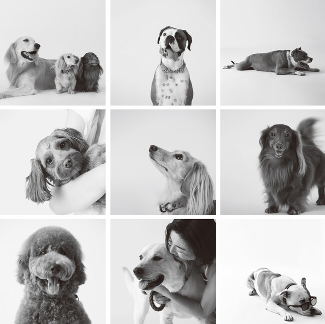 ― 愛犬のモノクロポートレート写真を世界にひとつだけのアートに―