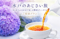 【茨城県｜水戸プラザホテル】あじさい彩る、初夏の水戸へ。ロンネフェルト紅茶と過ごす優雅なホテルステイが登場