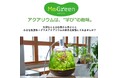 「淡水カーボン」が「ブルーカーボン」を上回るCO2貯留能力を発揮することを解明
