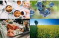 FOODEX JAPAN 2025 カナダパビリオン & ランチセミナー開催のご案内
