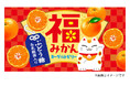 がんばるあなたに福来る！ぶどう糖＆乳酸菌入り「福みかんヨーグルトゼリー」を新発売