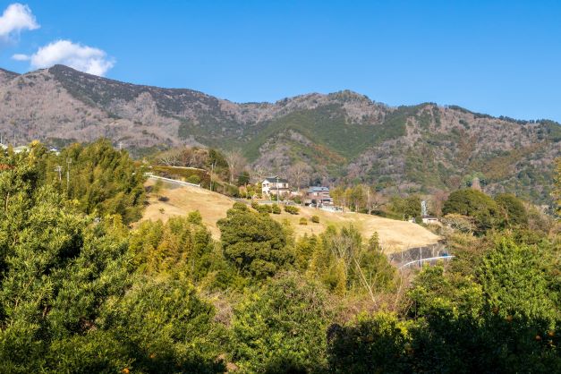 湯河原万葉公園・城山方面を臨む 湯河原万葉公園・城山方面を臨む