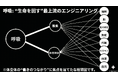 誰も語らない・・・“寿命を決めるもの”は意外な場所にあった。