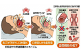 睡眠中の呼吸が“血管の働き”に与える影響──体内環境の視点で整理する初期報告