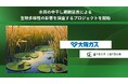 【日本初】Green Carbon株式会社は、水田の中干し期間延長による生物多様性の影響を調査するプロジェクトを開始