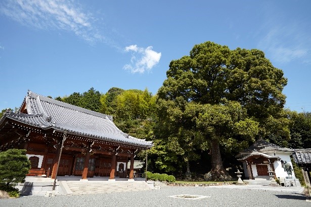 ガイドツアーで巡る高槻の歴史遺産|高槻市のプレスリリース