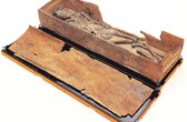 image 0
