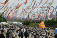 春の青空の中1000匹のこいのぼりが泳ぐイベントを高槻市で開催