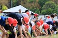 標高約350メートルに位置する高槻市立樫田小学校で一足早い田植え