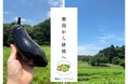 湘南の畑から“やさしさ野菜”をお届け。株式会社ユニファイヘルスケアが運営する「湘南ユニファーム」、行幸マルシェに初出店