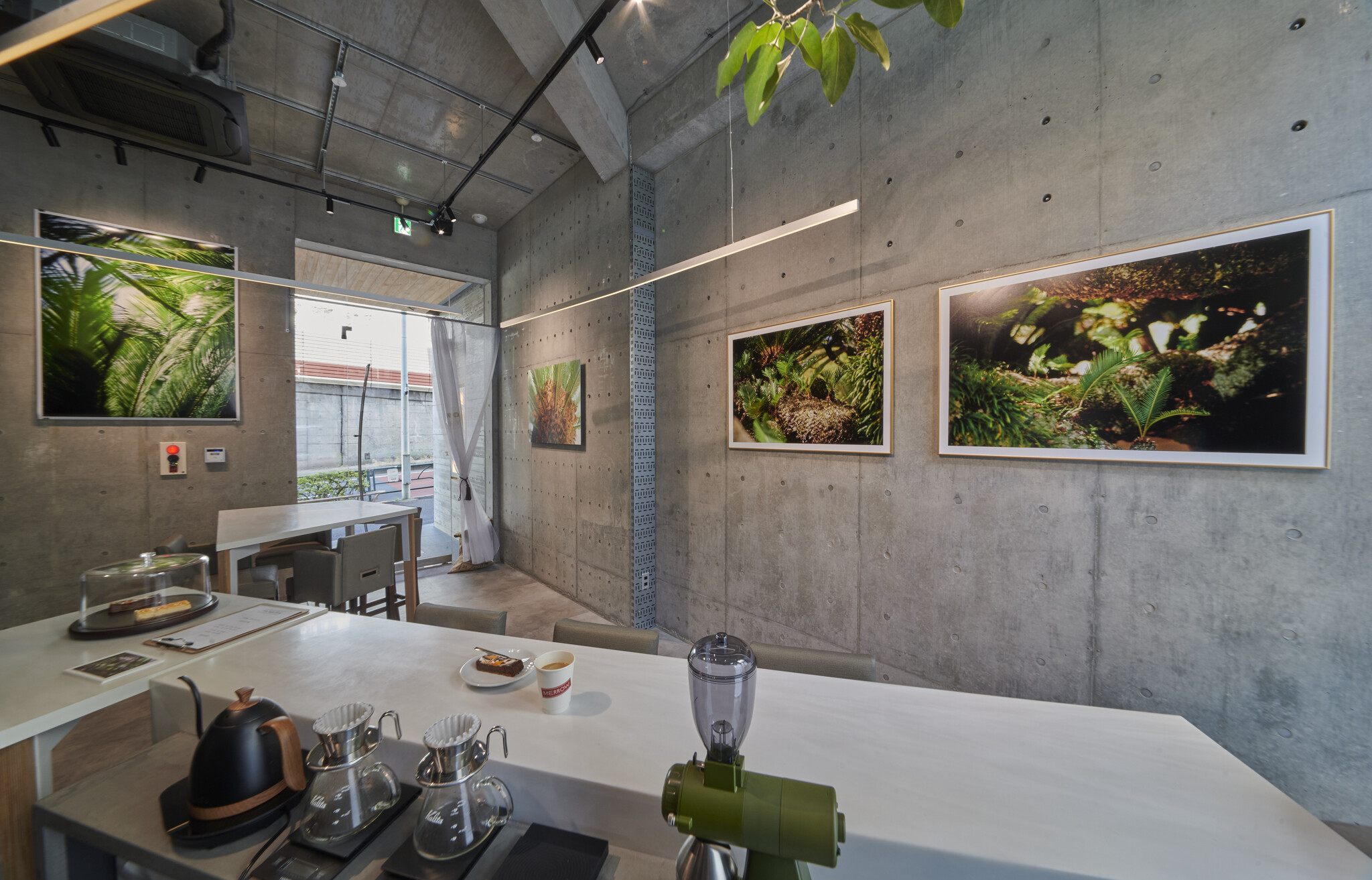アートギャラリーを併設したカフェ、「GALLERY MERROW CAFE」が東京、西麻布にオープン!|シリオン・マネジメント株式会社のプレスリリース