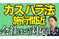 カスハラ法、施行目前。「指針の素案」とは何か？企業が今読むべき準備資料