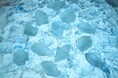 北海道の冬の魅力を詰め込んだ「流氷グミ」を新発売!人生で一度は、流氷を見に来て欲しい。