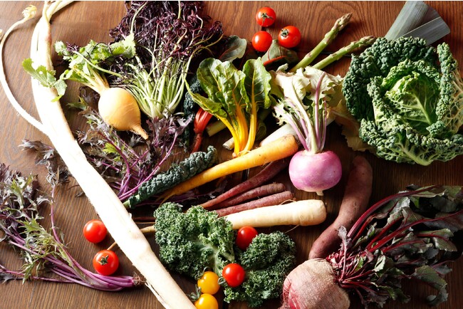 小山農園の新鮮野菜