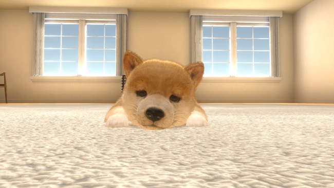 リアルな子犬や子猫とふれあえる Nintendo Switch 初の育成シミュレーションゲームが登場 イマジニアのプレスリリース