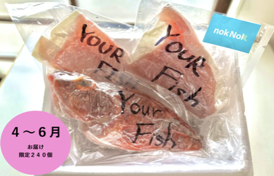 音声×動画コンテンツ体験及び対馬の絶品魚1.0~1.5kg 8,000円