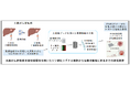 今まで根本的な治療法のなかった悪性度の高い大腸がん肝転移の新たな治療法開発に資する発見!