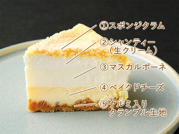 5層の断面 5層の断面