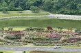 【東京ドイツ村】250品種3,000株が競演！