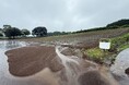度重なる大雨にも負けない！秋を彩るコスモス畑の“再・再スタート”