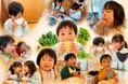 うんちが変わる。こどもの未来が変わる。名古屋東学院『いいうんちプロジェクト』本格展開！