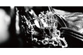 シルバー925製の新作ウォレットチェーンとキーチェーン2型を発表！！70年代PUNKが選んだ負けない構造。JAM HOME MADEのビクターチェーン！2026年7月31日（金）より発売開始