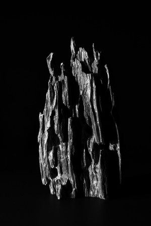 (C) Shin Yamagishi (C) Shin Yamagishi