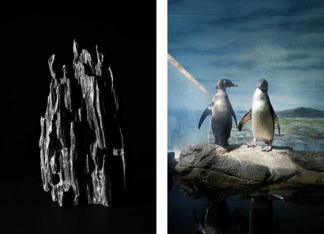 (C) Shin Yamagishi (C) Michiko Sato (C) Shin Yamagishi (C) Michiko Sato