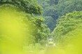 中井精也 写真展「ライカと、てつたび。」