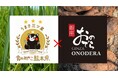 【熊本から世界へ】熊本県×銀座おのでら 「完全オリジナル酒造りプロジェクト」【収穫・醸造篇】～実りの秋、10月13日（火）・14日（水）酒米の稲刈りと、芋掘りから当日仕込みへ～