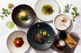 国産ハーブティーと八女茶のペアリングディナーコース「HERB MEETS TEA」