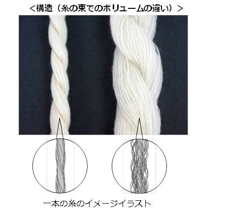 構造（糸の束でのボリュームの違い）