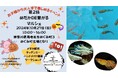 TONICHIグループ 10/27「第2回めだかDE繋がるマルシェ」に出店