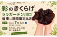 7/4大型商業施設「ララガーデン川口」に出店 ～東日印刷グループ 毎日新聞首都圏センター～