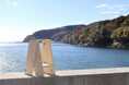 石巻工房「能登ヒバ」の採用について