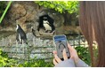 サンシャイン水族館で“推し”のペンギンが見つかる!?明治大学の学生が開発した日本初の個体識別システムで新感覚の生き物観察体験