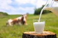 牧場生乳の欲を満たすヨーグルトのコンセプトとパッケージデザインを実証