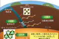 地球の奥深くに沈み込んだ海底の岩石を発見