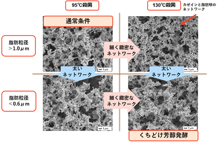 図２.　殺菌温度と脂肪粒径を変化させた場合の電子顕微鏡観察結果 （当該論文に記載の図より作成）