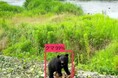 ~全国初、クマ対策にAIカメラと防災行政無線との連携開始~