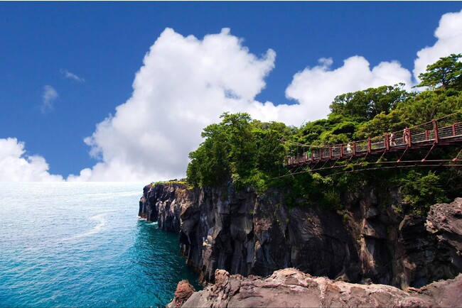 城ヶ崎海岸への散策を楽しまれました。 城ヶ崎海岸への散策を楽しまれました。