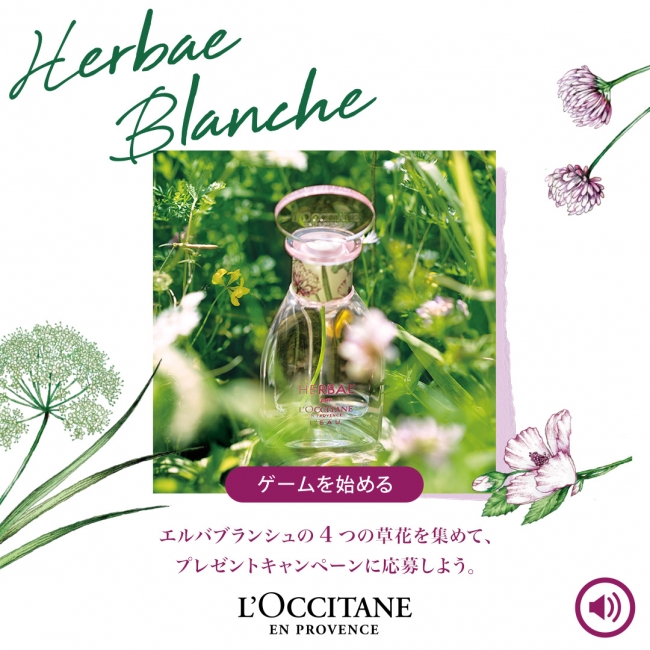 Ｌ’OCCITANE  ロクシタン　エルバブランシュ限定セット