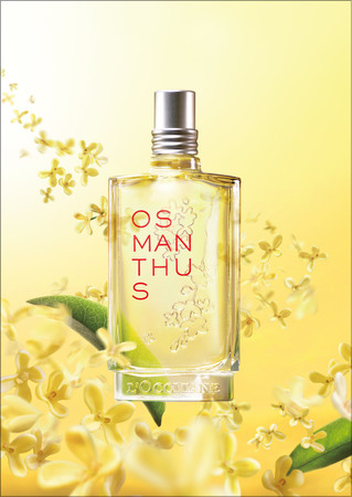 オスマンサス 75ml キンモクセイ 金木犀 ロクシタン L'OCCITANE