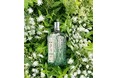 心のままに、オートプロヴァンス流の夏時間を。「クリーンヴァーベナ」シリーズ