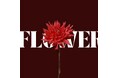 情熱と繊細さが共存する一輪の花。新世代アーティスト [KANAKA] が放つ最新シングル『Flower』がリリース。