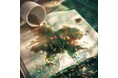 Melissa Barry、2年ぶりとなる1st Album『A song of LIFE』を配信リリース